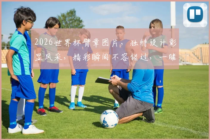 2026世界杯臂章图片，独特设计彰显风采，精彩瞬间不容错过，一睹为快