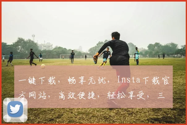 一键下载，畅享无忧，Insta下载官方网站，高效便捷，轻松享受，三步到位