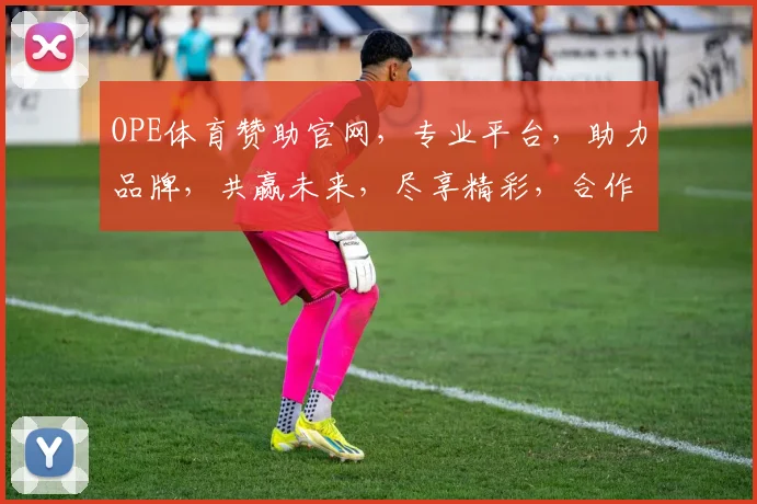 OPE体育赞助官网，专业平台，助力品牌，共赢未来，尽享精彩，合作首选