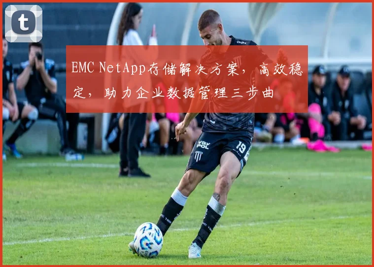 EMC NetApp存储解决方案，高效稳定，助力企业数据管理三步曲