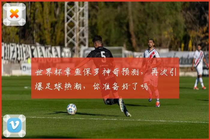 世界杯章鱼保罗神奇预测，再次引爆足球热潮，你准备好了吗